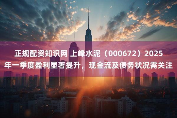 正规配资知识网 上峰水泥（000672）2025年一季度盈利显著提升，现金流及债务状况需关注