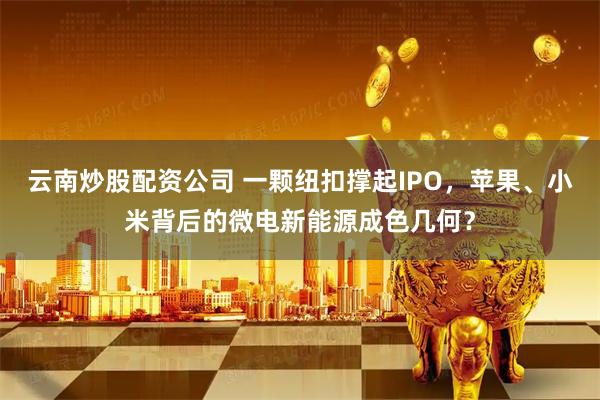 云南炒股配资公司 一颗纽扣撑起IPO，苹果、小米背后的微电新能源成色几何？
